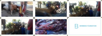 IMG_20150924_062726_HDR-tile